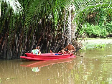 Campagne près du marché flottant d'Amphawa