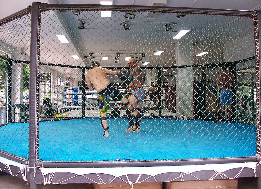 Cage de MMA