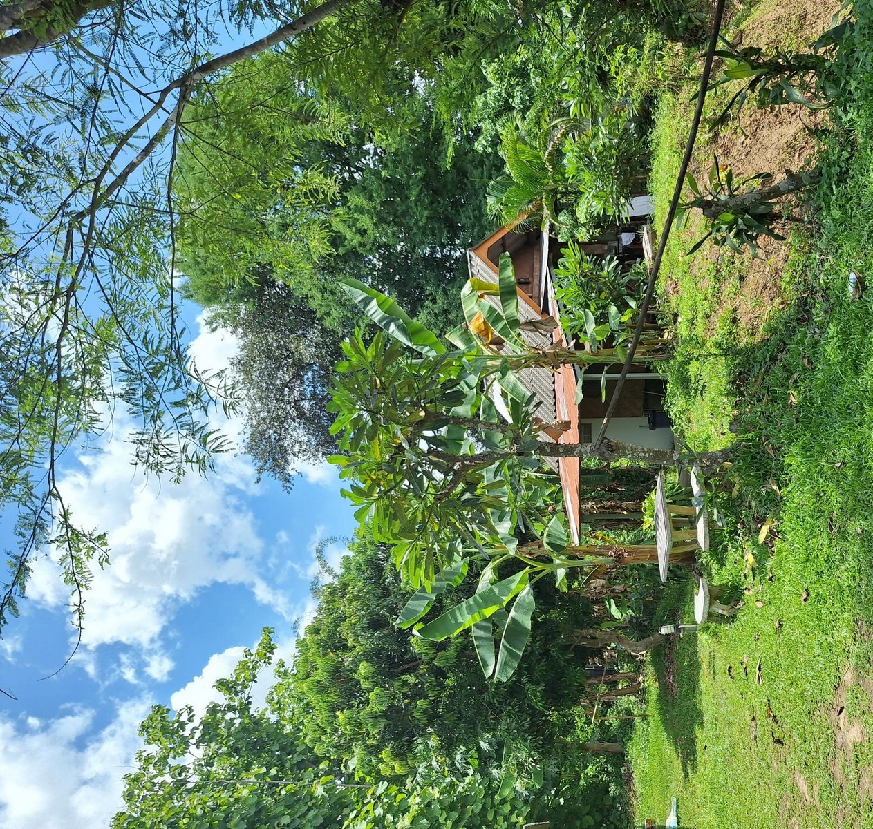 campagne en Thaïlande