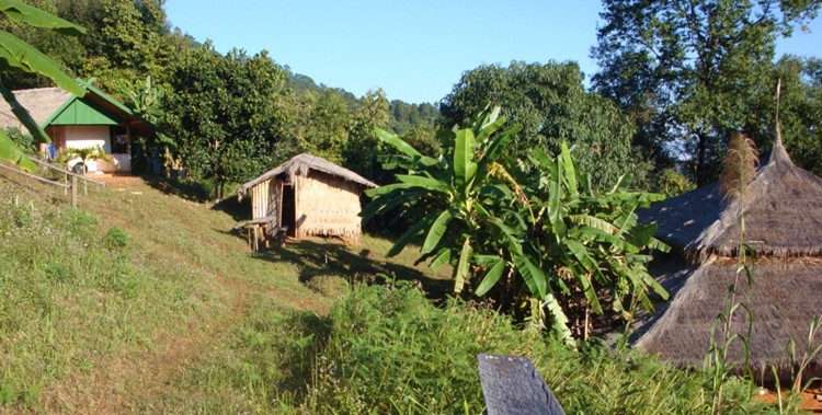 Camps de boxe thai en Thailande pr�s de la jungle