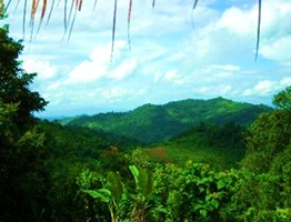 camp d'entrainement au muay thai en Thailande, dans le nord