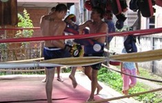 camp d'entrainement au muay thai en Thailande, dans le nord