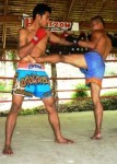 camp d'entrainement � la boxe thai dans le nord Thailandais
