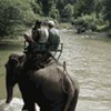 Balade � dos d'�l�phant