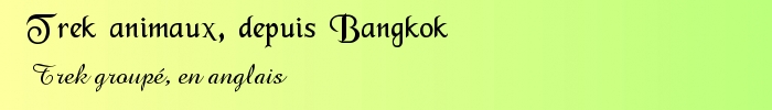 Trekking dans la r�gion de Bangkok