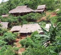 Village dans la jungle