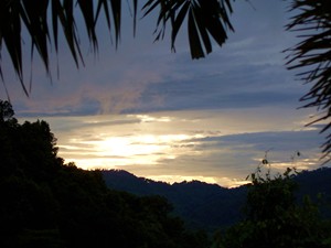 Couch� de soleil dans la jungle