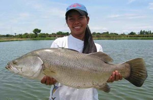 Pêche au gros à Bangkok