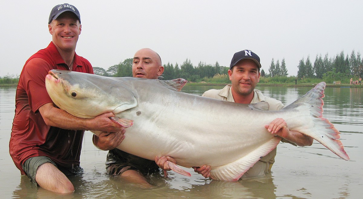Pêche au gros en lac en Thaïlande