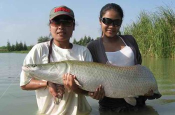 p�che en lac pr�s de Bangkok en Thailande