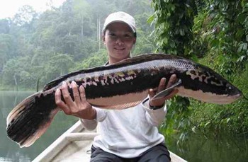 pêche en lac en Thailande