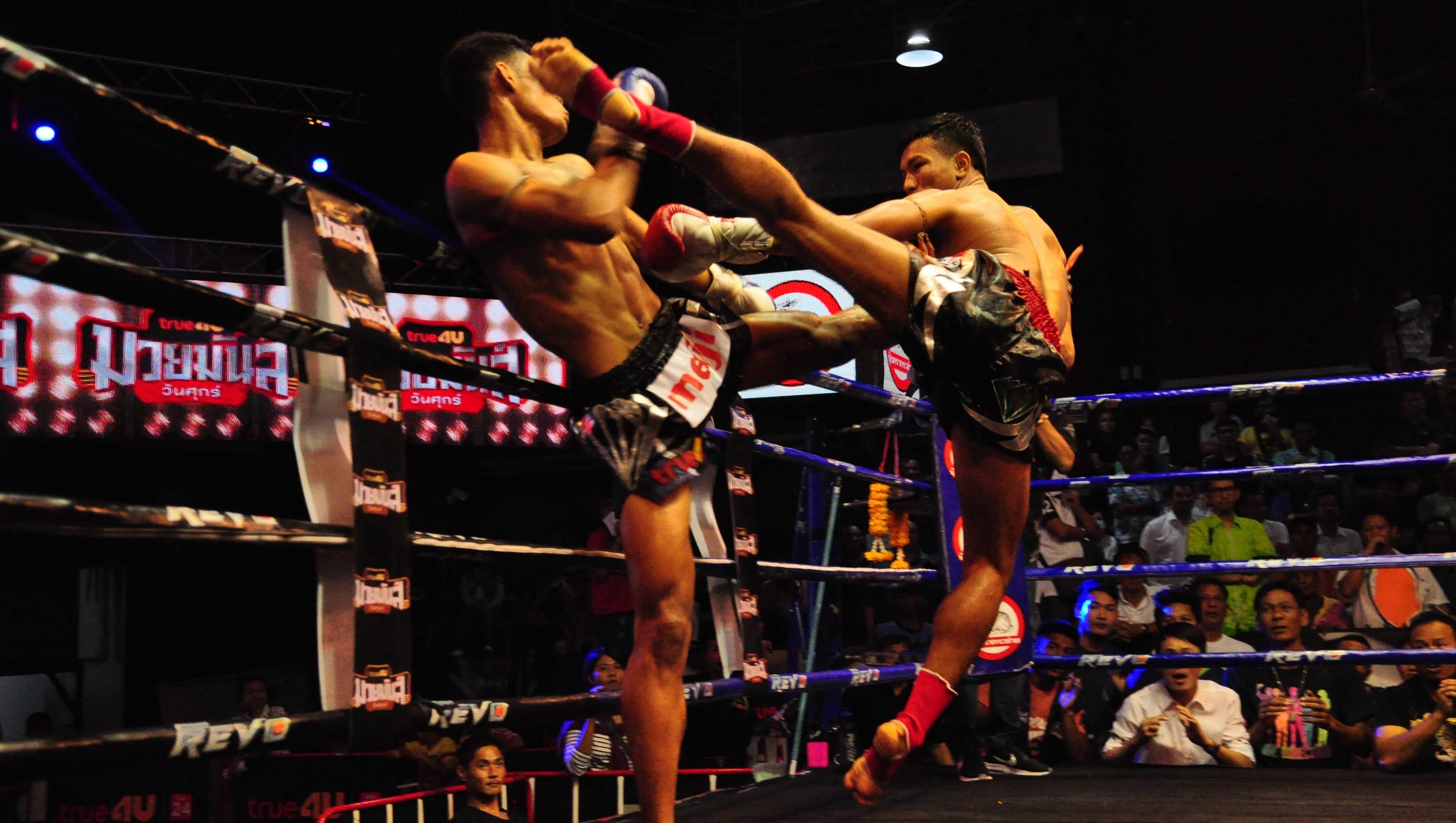 Organisation de stages d'entrainement au Muay Thai en Thaïlande