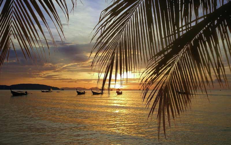 Formation de boxe thai en bord de mer en Thailande