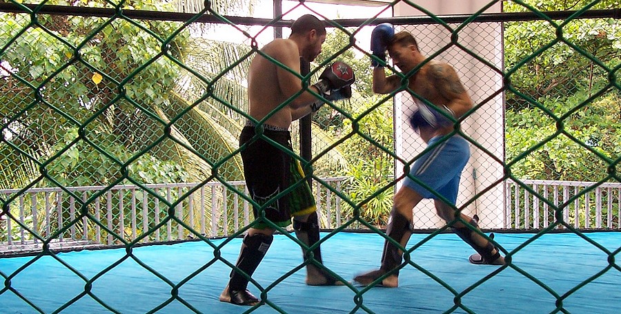 sparring en MMA