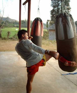 Entrainement au muay thai dans la campagne Thailandaise