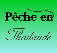 Pêche en Thailande depuis Bangkok