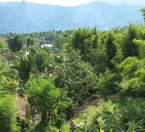 cours de cuisine thai dans le nord de la Thailande