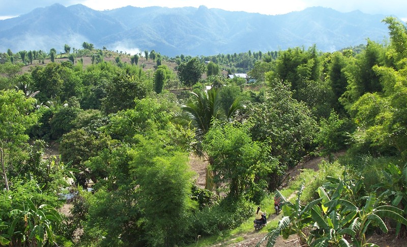 Collines de la Thailande du nord