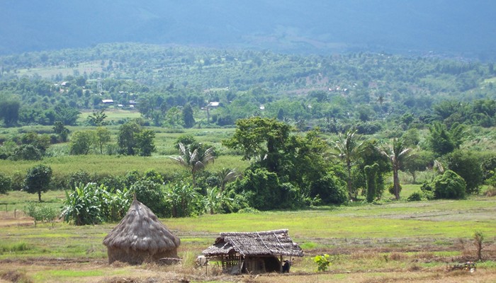 Collines de la Thailande du nord