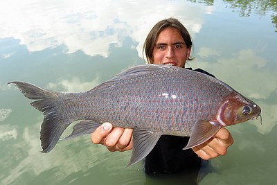 Pêche en étang en Thaïlande