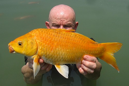 pêche en lac près de Bangkok