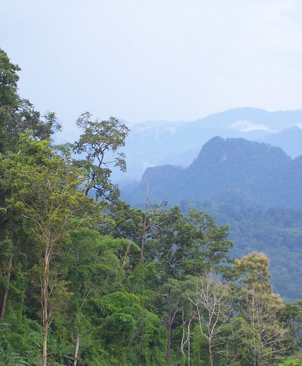 Randonnée dans la montagne de Thailande