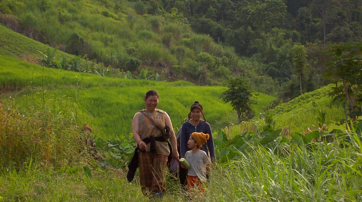 randonnée dans le nord de la Thailande